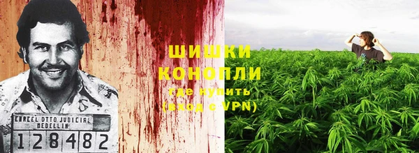 каннабис Аркадак