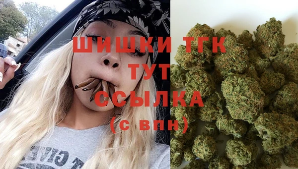 винт Пересвет
