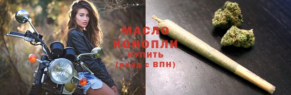 винт Пересвет
