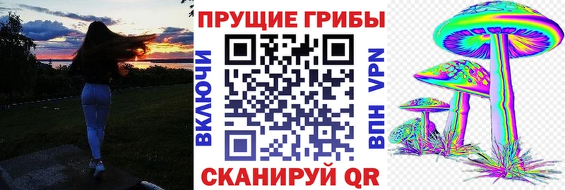 Галлюциногенные грибы мицелий  Хотьково 